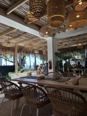 Restaurant  at PLNT+HRVST in El Nido