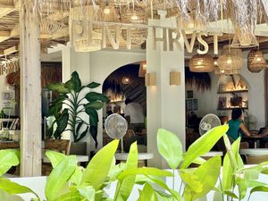   at PLNT+HRVST in El Nido