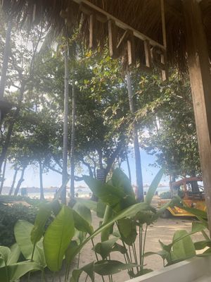   at PLNT+HRVST in El Nido