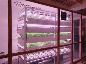  at PLNT+HRVST in El Nido