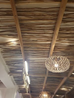  at PLNT+HRVST in El Nido