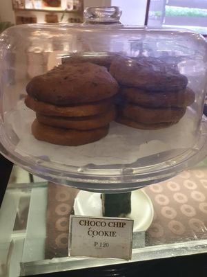  at PLNT+HRVST in El Nido