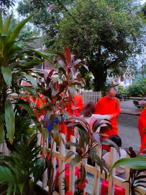 every morning from the café you can see the Alms giving at Lotus Corner Vegan and Plant Based B&B in Luang Prabang