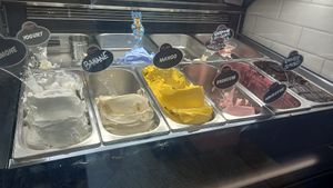 limone, banane, mango, erbeere, himbeere , dunkle schokolade & batgao (oder so) sind vegan at Gelateria Pandolfo in Weinheim