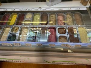Lots of flavors  at Vegelateria in Zurich