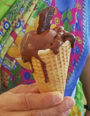 Double Choco - natürlich vegan at Vegelateria in Zurich