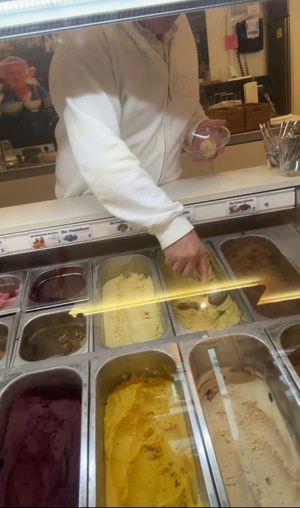 Some of the vegan ice cream   at Vegelateria in Zurich