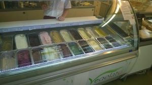 Vegelateria at Vegelateria in Zurich