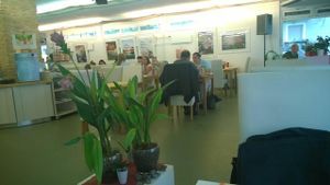 Vegelateria at Vegelateria in Zurich