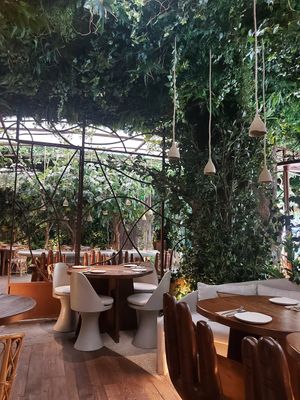  at Begin: Jungla in Gandia