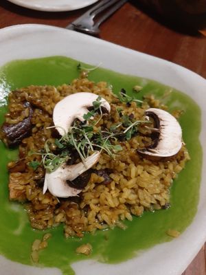  at Begin: Jungla in Gandia