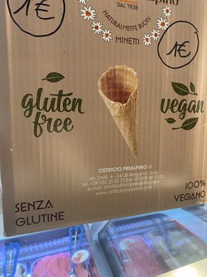 Ice cream cones are vegan & GF   at Amore Mio in Bouillon