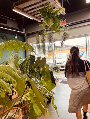 Plant half of the store!  at Plantoem in Honolulu