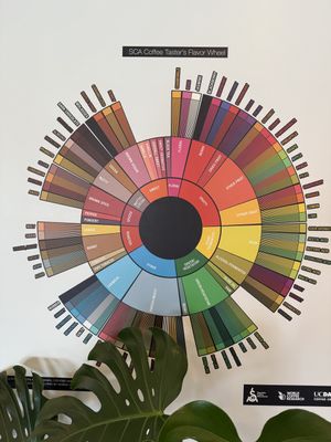   at ContempoRoast Coffee & Roastery in Centerville