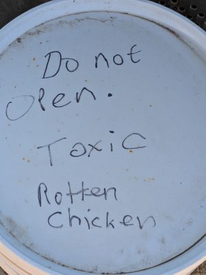  at Cafe Zorva in Vagar