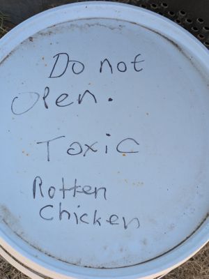  at Cafe Zorva in Vagar