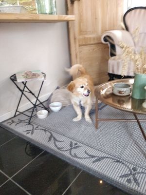  at Jennys Æblehaven in Nexo