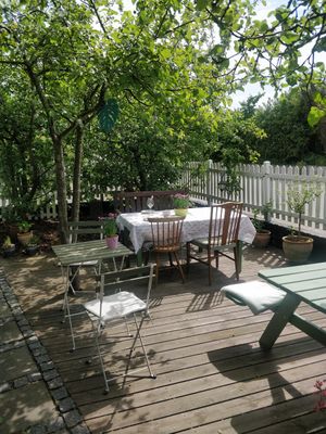  at Jennys Æblehaven in Nexo