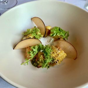 Backyard Course  at Fabrik in Austin