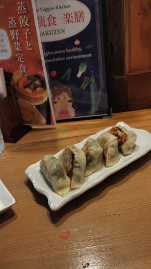 Gyoza at Taiwan Rakuzen - 台湾ベジキッチン楽膳 in Osaka