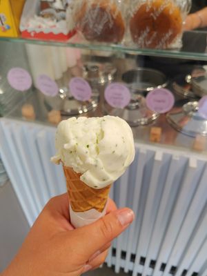 Veganes Eis mit Zitrone und Basilikum in einer veganen Waffeln at Gelatiamo Chioggia in Chioggia