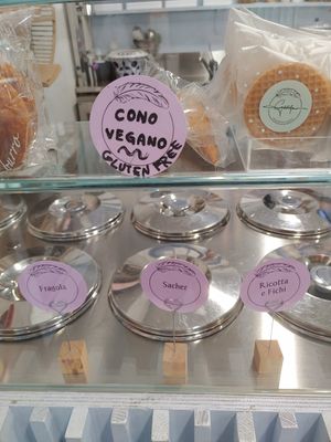 Fragola und Sacher sind weitere vegane Eissorten at Gelatiamo Chioggia in Chioggia