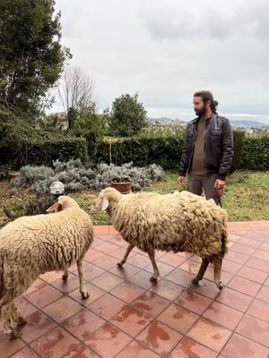  #Veganuary at Officine Vegetali Home Restaurant in Controguerra