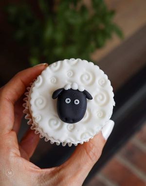  at 108 Delectable Delights in Dublin