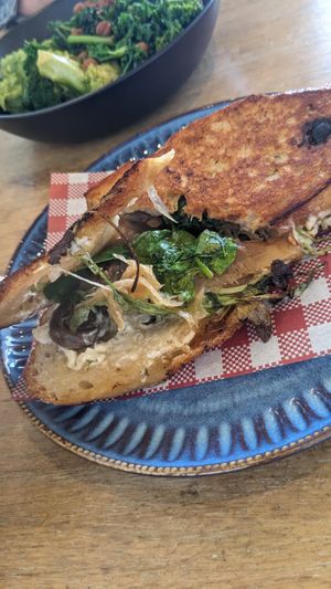 Fungi Toasty at Drift @ Robe in Robe