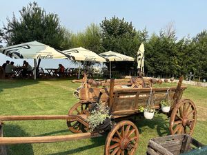 Repurposed cart in their front yard being used as a planter at Restorant Leza in Lin