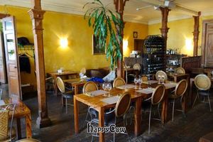 Elevant at Elevant in Tallinn