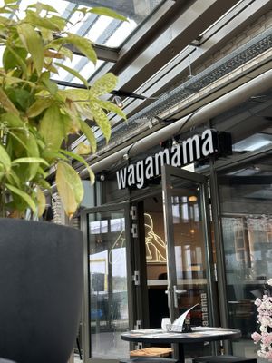  at Wagamama in The Hague