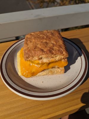 Vegan breakfast sandwich with a Sammie's Vegan biscuit!! 🤤 at The Coffee Shop by Hammerhead Coffee Roasters in Bellingham