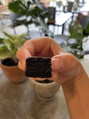 Brownie bite   at Kia Ora Café in Koh Phangan