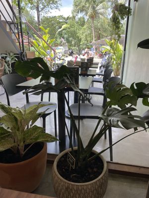   at Kia Ora Café in Koh Phangan