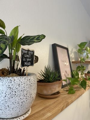   at Kia Ora Café in Koh Phangan