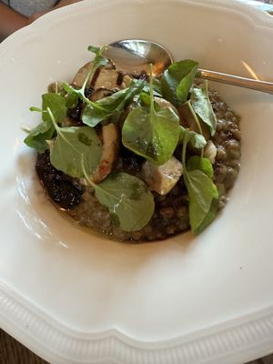 Risotto   at Blossom & Root Kitchen in Danville
