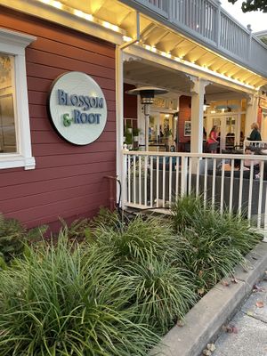 Storefront   at Blossom & Root Kitchen in Danville