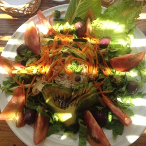 Huge Ayawasi salad at Ayawasi Organico and Natural in La Serena