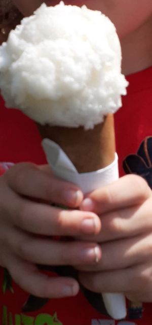 Lemon sorbet at Crook Hall and Gardens in Durham