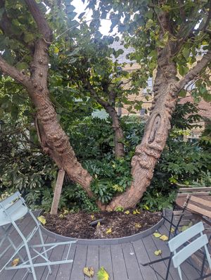 Beautiful tranquil gardens at The Gallery Cafe in East London