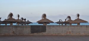 Locale posto sul lungomare, posto privilegiato. Questa la vista dal nostro tavolo. Qualche opzione vegana, privato il veggie burger, porzioni abbondanti, saporito.la pizza vegetari at Miles Cala Millor in Mallorca