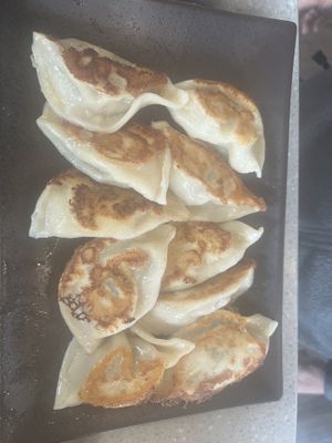 Pork dumplings   at Mason's Dumpling Shop in Boulder