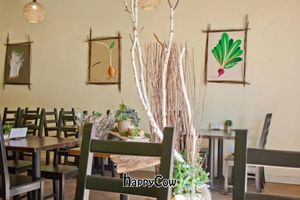 The environment, organic looks. at VegiOasis in Huntington Beach