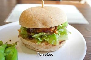 Grilled chicken teriyaki at VegiOasis in Huntington Beach