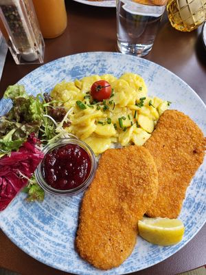 Veganes Schnitzel mit Kartoffelsalat at Wilma Wunder in Passau