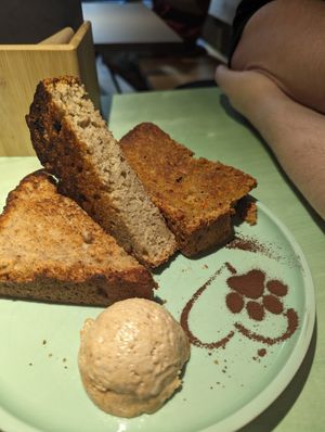  at Katzentempel in Cologne