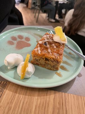   at Katzentempel in Cologne