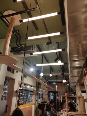 Catwalks and climbing at Katzentempel in Cologne