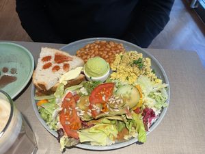 Cat breakfast  at Katzentempel in Cologne